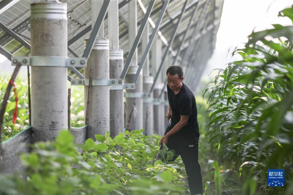银河网上游戏厅